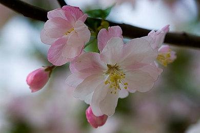 合作恐怖游戏《Altarium》Steam页面上线 支持简繁体中文